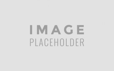 1d8ef901