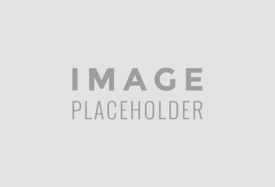 1d8ef901